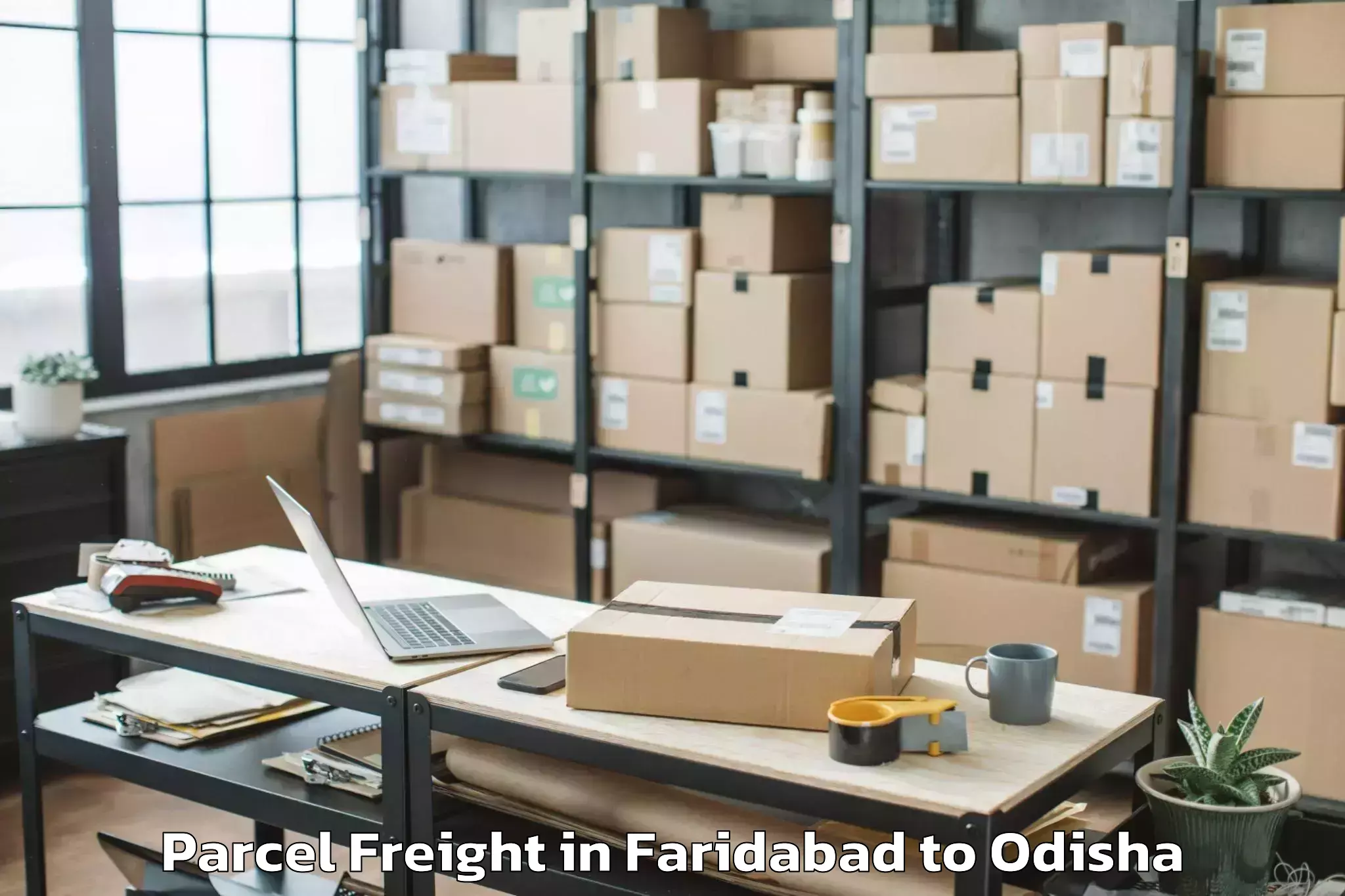 Quality Faridabad to Mancheswar Parcel Freight